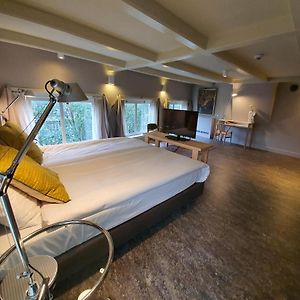 Deluxe Kamer met Twee Aparte Bedden